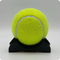 PADLX - Ball Picker
